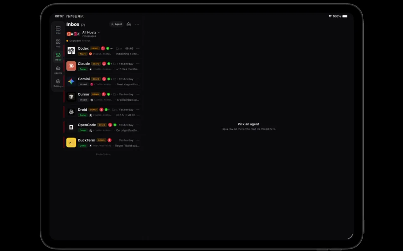 DuckTerm running its full adaptive workspace on Pad
